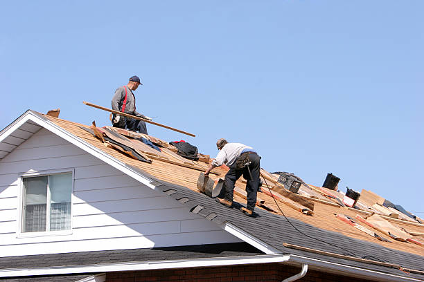 Best Asphalt Shingle Roofing  in East Lake, FL